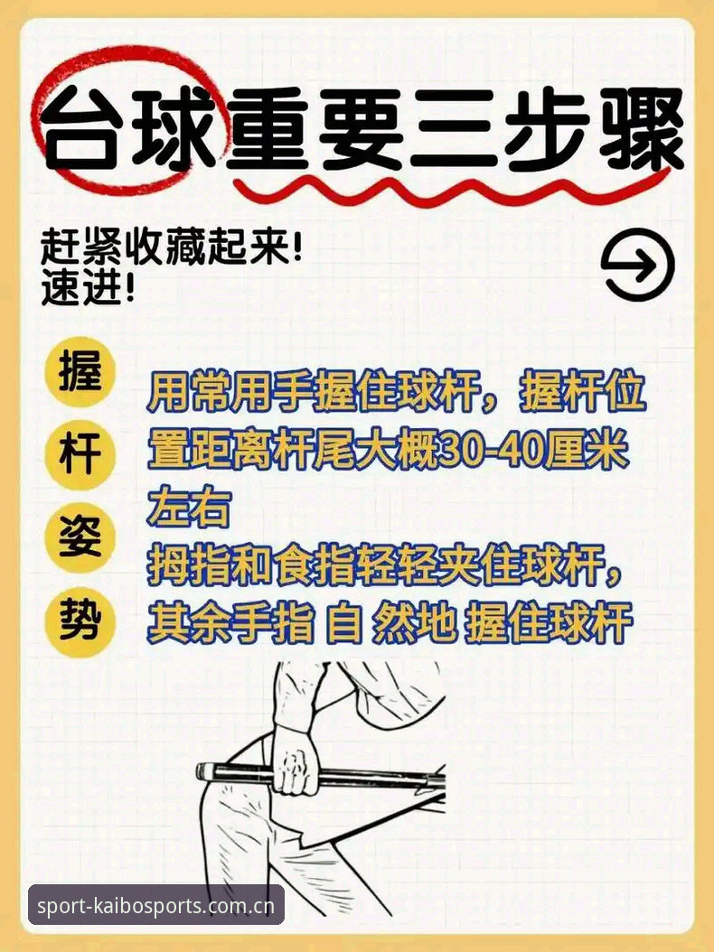 新手必看！2026新版开博体育官网入口的5大实用技巧与详细操作指南